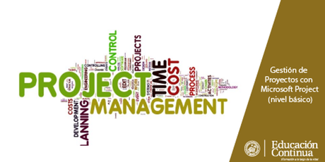 Programa de gestión de proyectos con Microfsoft Project