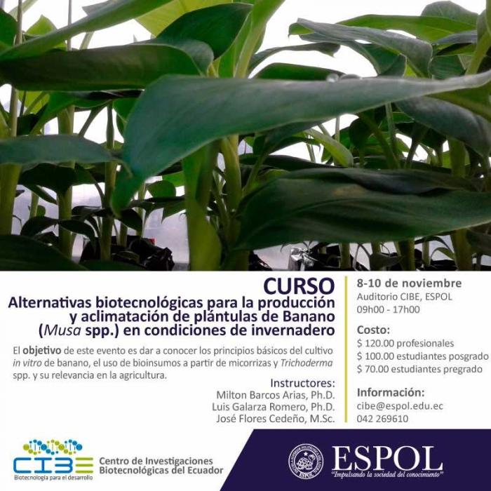 Curso: Alternativas Biotecnológicas para la Producción y Aclimatación de Plántulas de Banano (Mussa spp.) en condiciones de invernadero