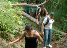 Sendero Palo Santo Sendero Palo Santo