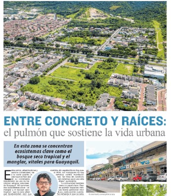 Entre concreto y raíces: el pulmón que sostiene la vida urbana