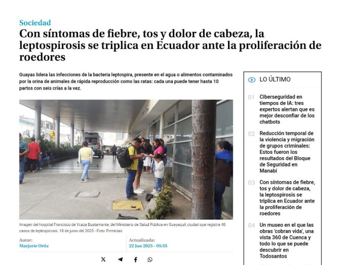 La leptospirosis se triplica en ecuador ante la proliferación de roedores