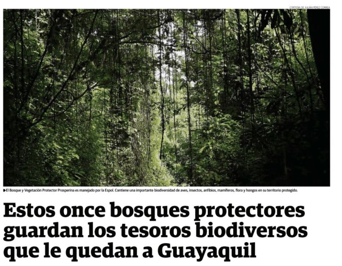 Estos once bosques protectores guardan los tesoros biodiversos que le quedan a Guayaquil