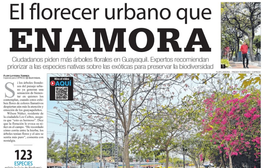 Florecer urbano que enamora