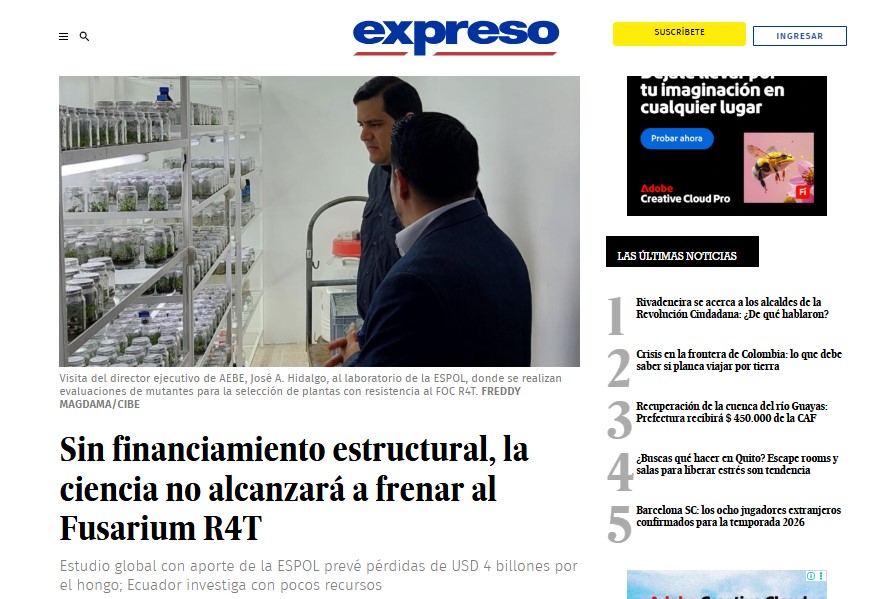 Sin financiamiento estructural, la ciencia no alcanzará a frenar al fusarium r4t