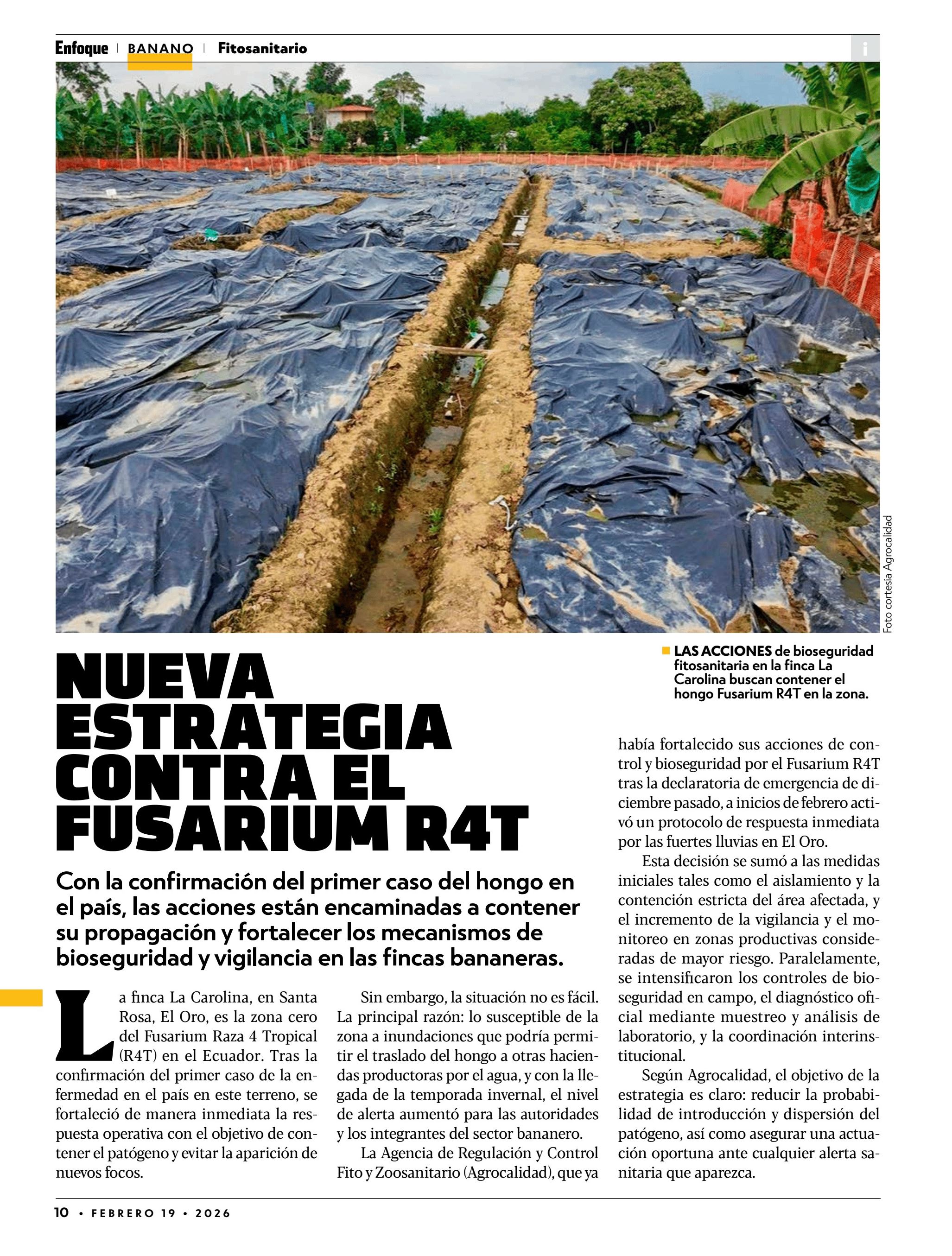 NUEVA ESTRATEGIA CONTRA EL FUSARIUM R4T