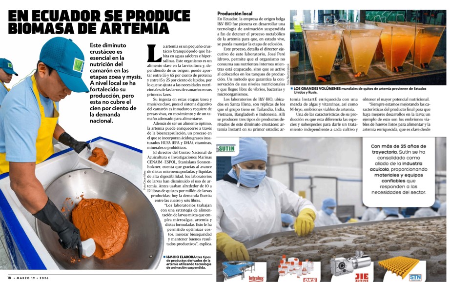 EN ECUADOR SE PRODUCE BIOMASA DE ARTEMIA
