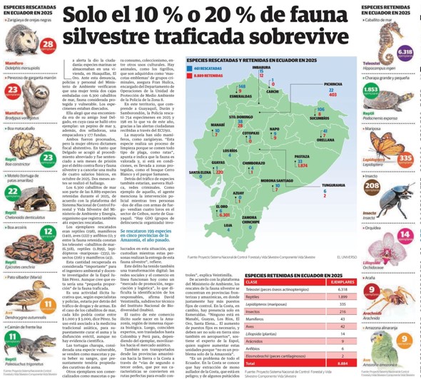 SOLO EL 10 % O 20 % DE FAUNA SILVESTRE TRAFICADA SOBREVIVE