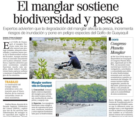 EL MANGLAR SOSTIENE BIODIVERSIDAD Y PESCA
