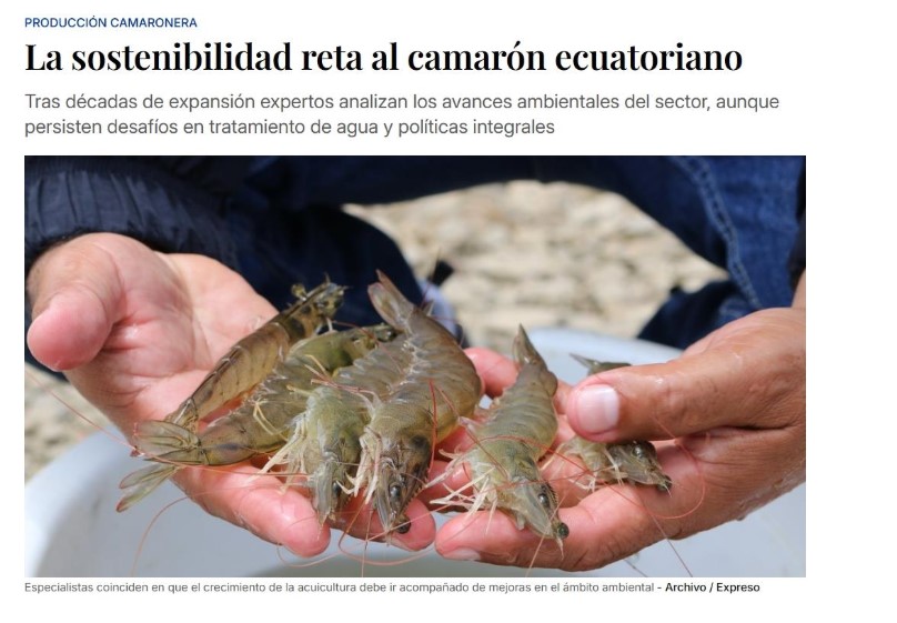 La sostenibilidad reta al camarón ecuatoriano