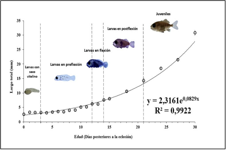 Crecimiento por fases