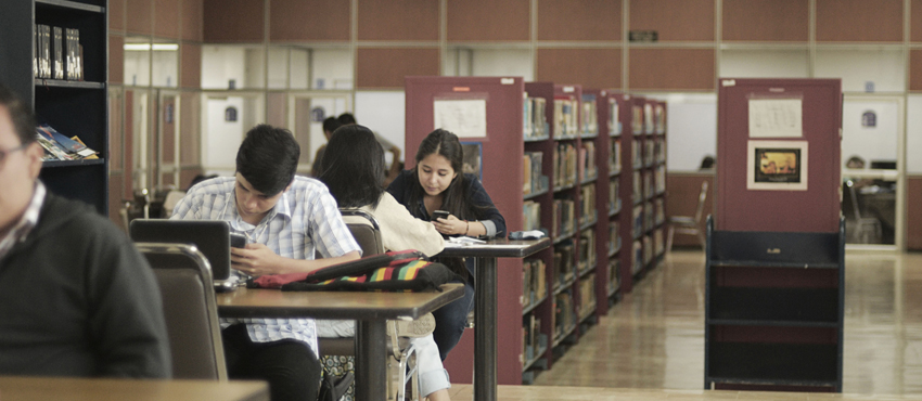 biblioteca