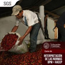 Interpretación BPM -en alianza con SGS