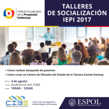 Talleres de Socialización IEPI 2017