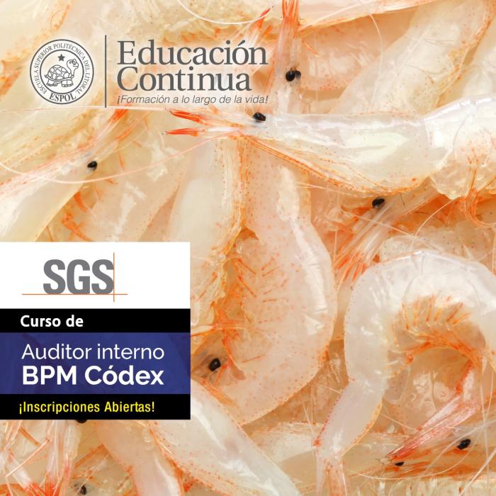 Auditor Interno BPM CODEX (en alianza con SGS) profesionales