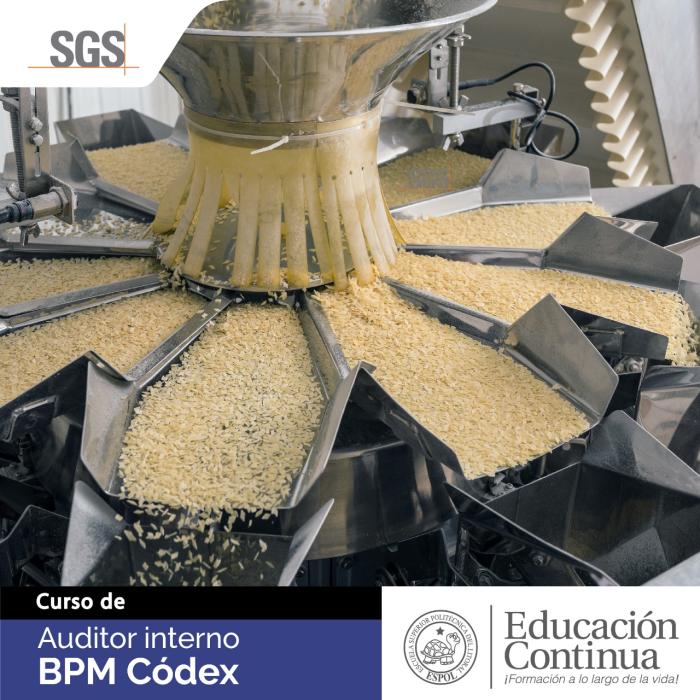 Auditor Interno BPM CODEX -en alianza con SGS