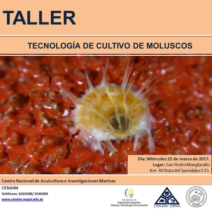 Taller Tecnología de Cultivo de Moluscos