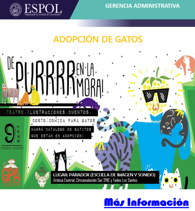 Jornada de adopción de gatos