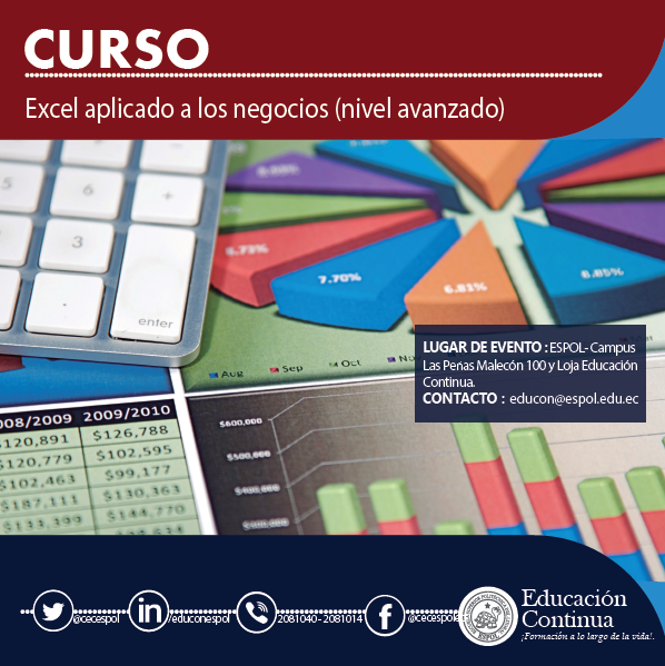 Excel aplicado a los Negocios Nivel Avanzado