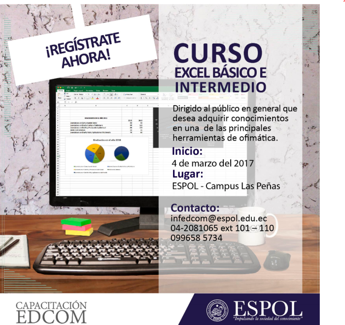 Curso Excel Básico e Intermedio