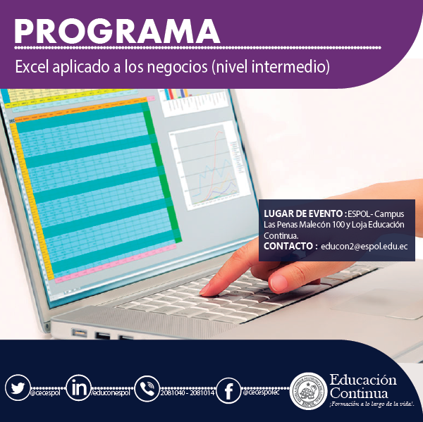 Excel Aplicado a los Negocios Nivel Intermedio