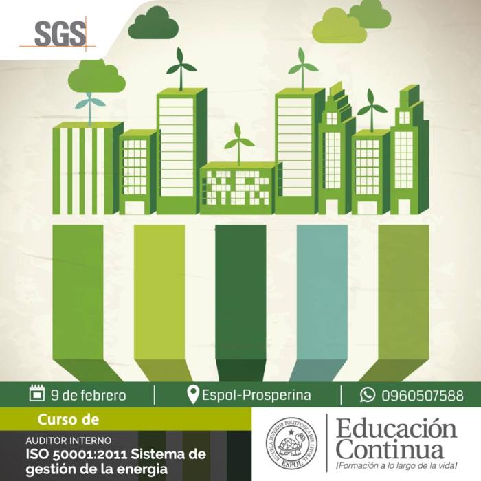 Curso Auditor Interno ISO 50001:2018 - Sistemas de Gestión de la Energía (en alianza con SGS)