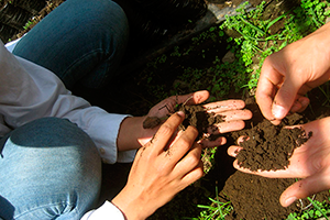 Curso: Uso de enmiendas orgánicas, ecología y fertilidad del suelo